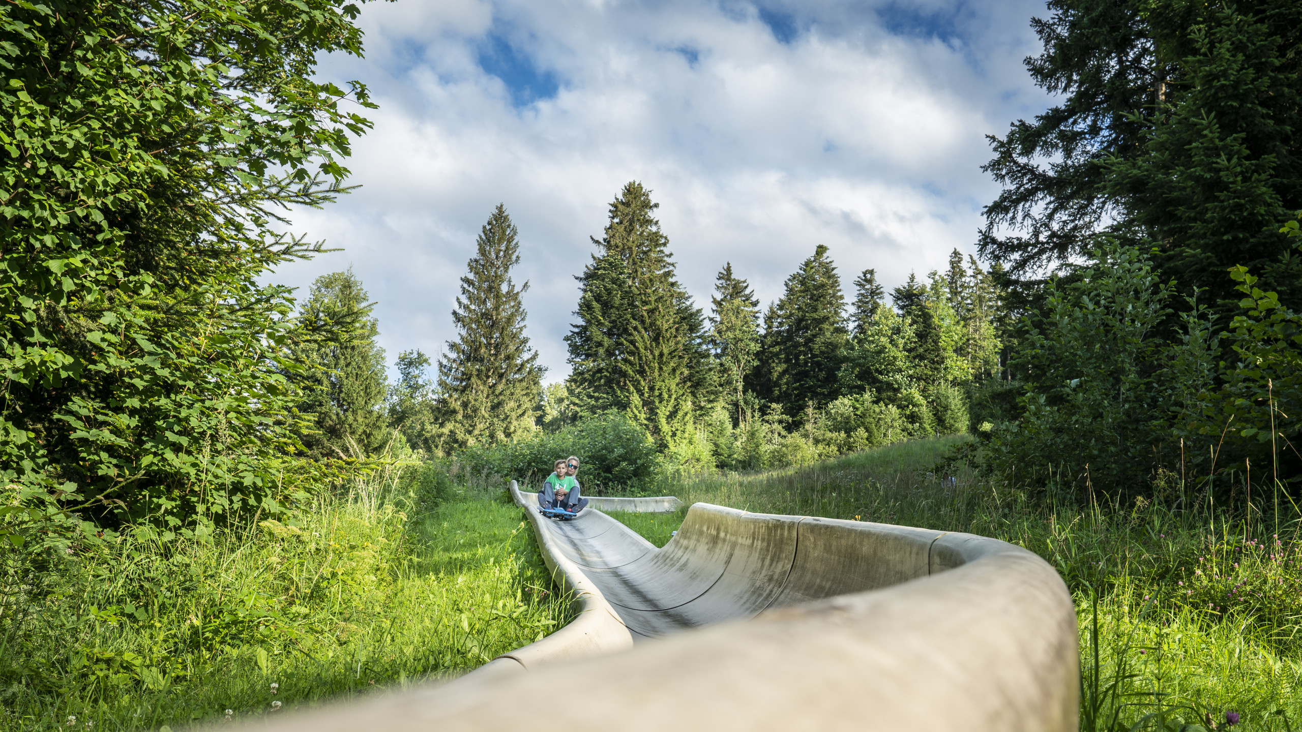 Sommerrodelbahn